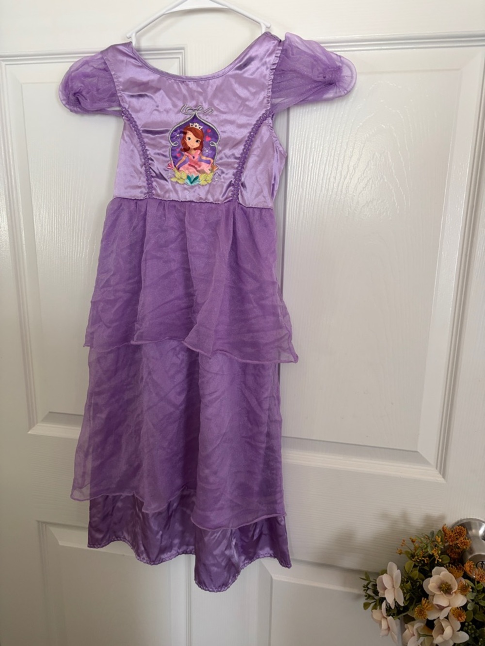 Girls' Disney Purple Princess Costume Dress with Character Patch /pajama dress